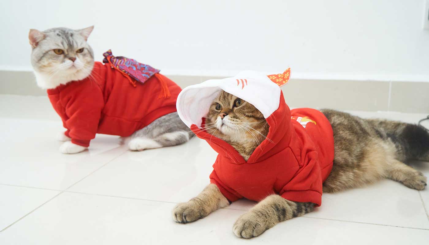 purr-tech.de
